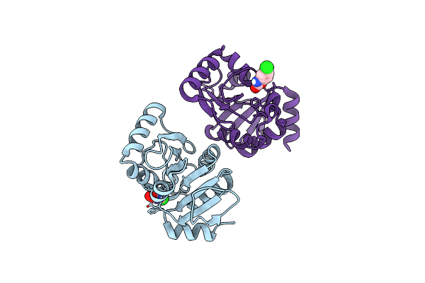 5RVI image