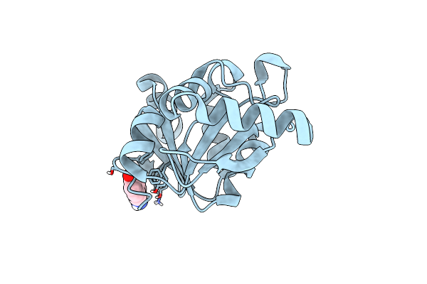 5RVJ image
