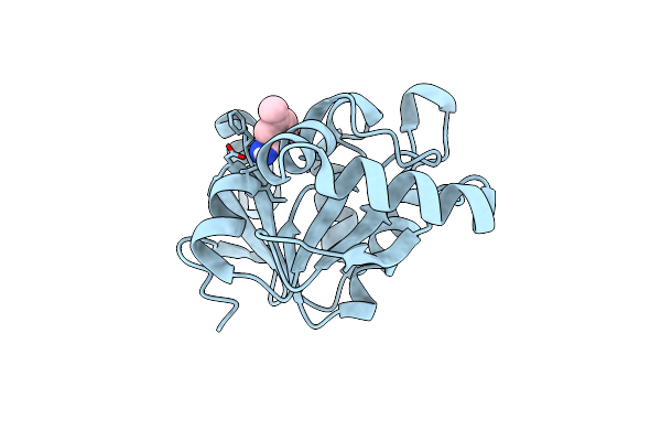 5RVL image