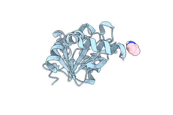 5RVR image