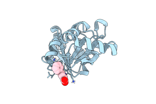 5RVS image