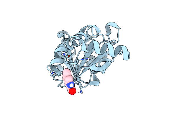 5RVT image