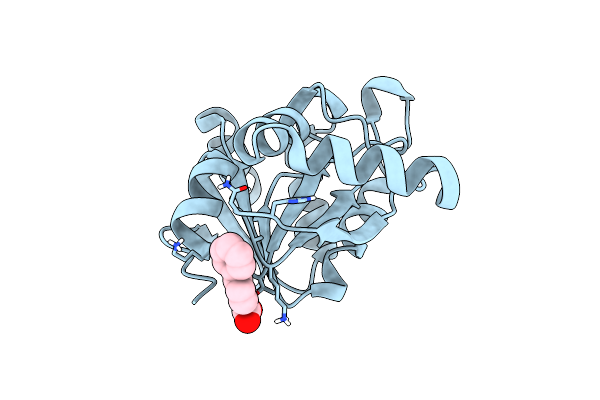 5RVU image