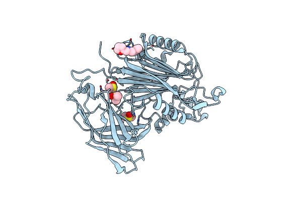 5RW2 image