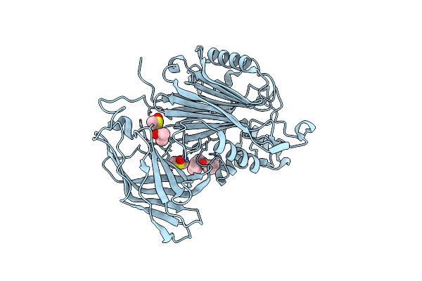 5RW3 image