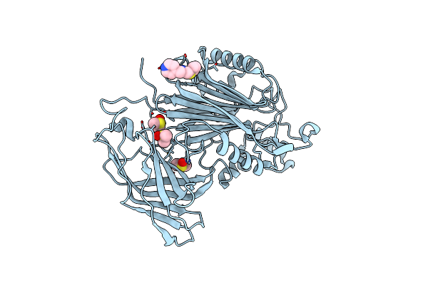 5RW6 image