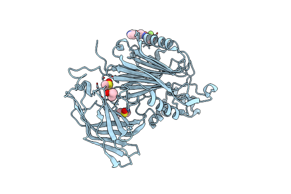 5RWN image