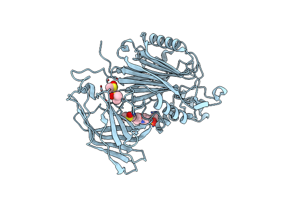 5RWW image