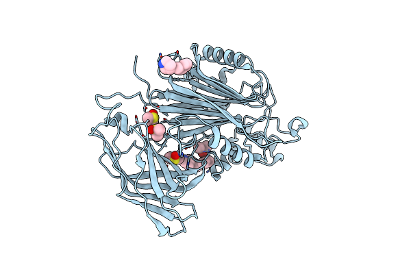 5RX2 image