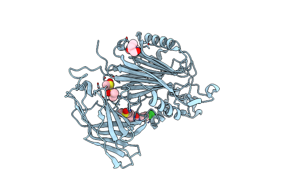 5RX4 image