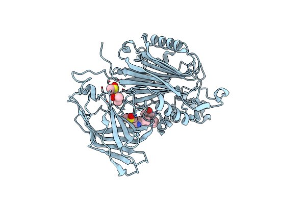 5RXM image