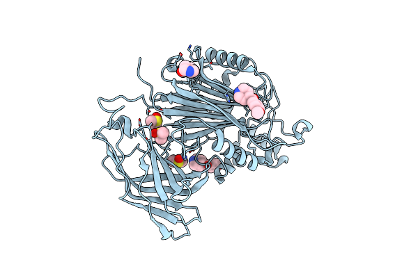5RYA image