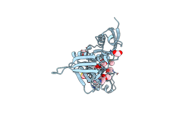 5RYM image