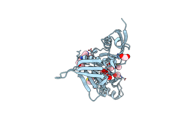 5RYO image