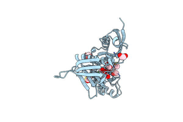 5RYS image