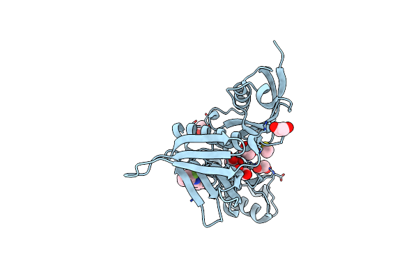 5RYZ image