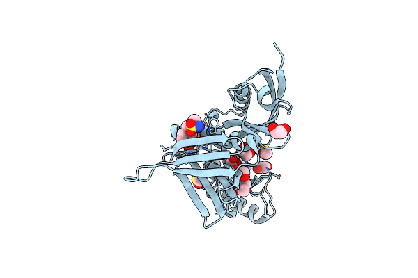 5RZC image