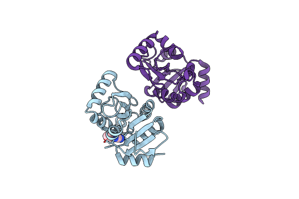 5S1S image