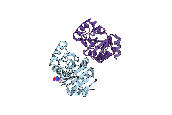 5S22 image