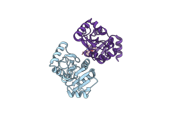 5S2D image