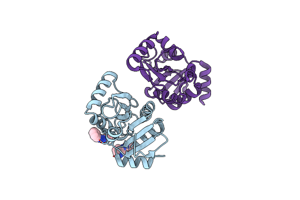 5S2F image