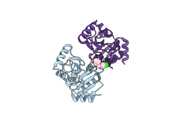 5S2N image