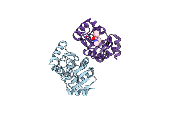 5S2V image