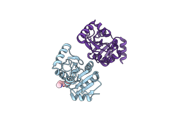 5S3O image