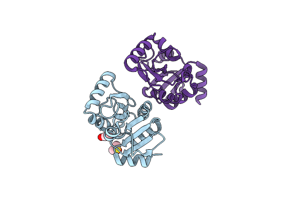 5S4B image