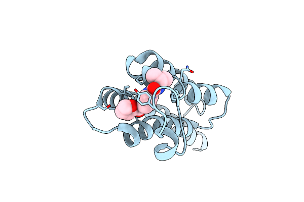5S8V image