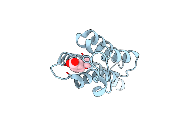 5S9B image