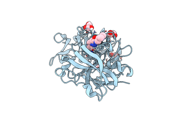 5SAP image