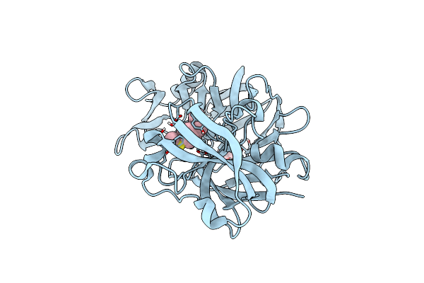 5SAQ image