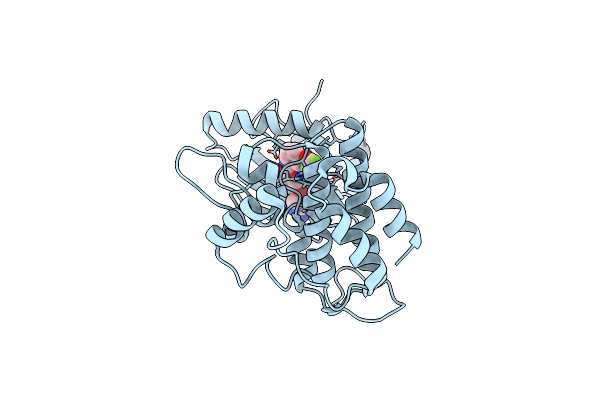 5SAV image