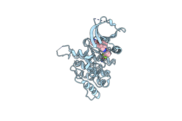 5SB0 image