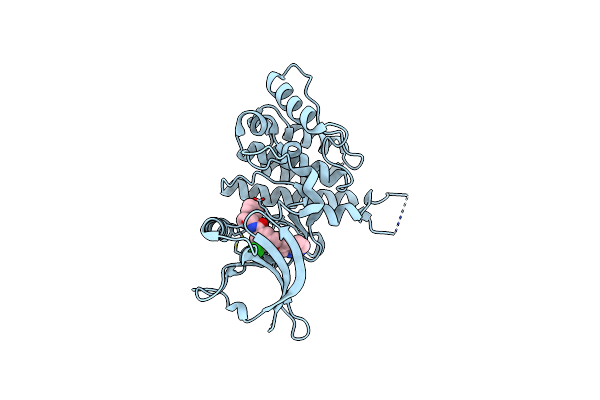 5SB2 image