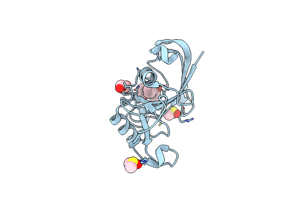 5SBK image
