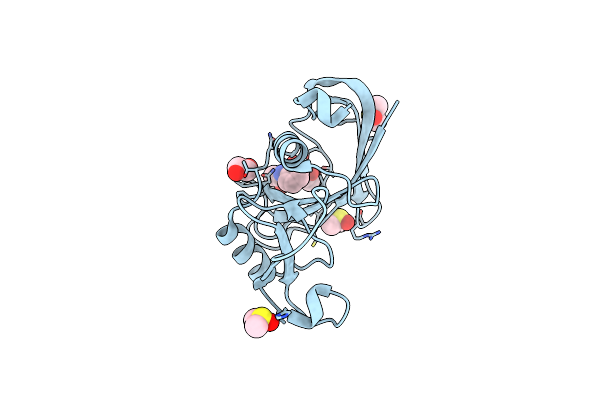 5SBN image