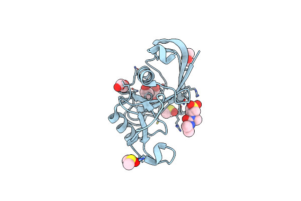 5SBT image