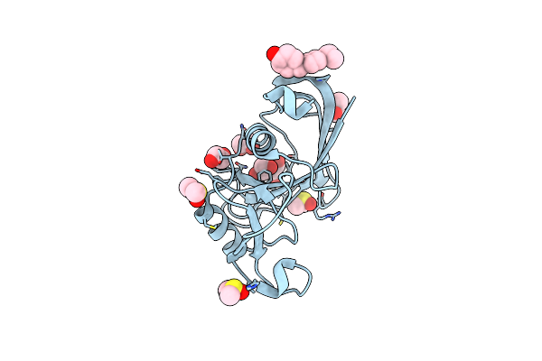 5SBW image