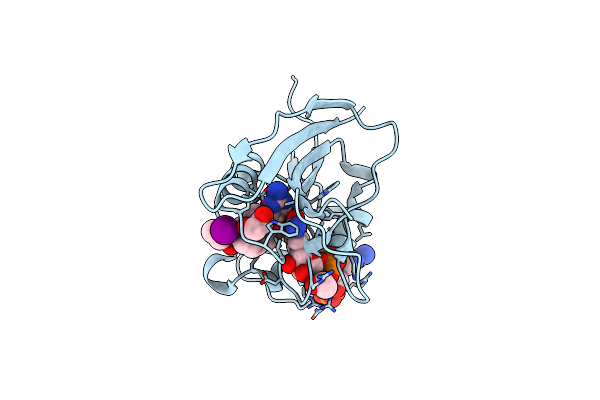 5SCM image