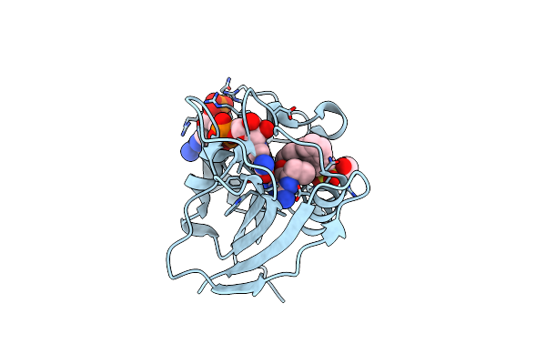 5SCQ image