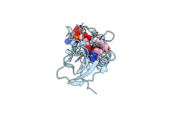 5SCR image