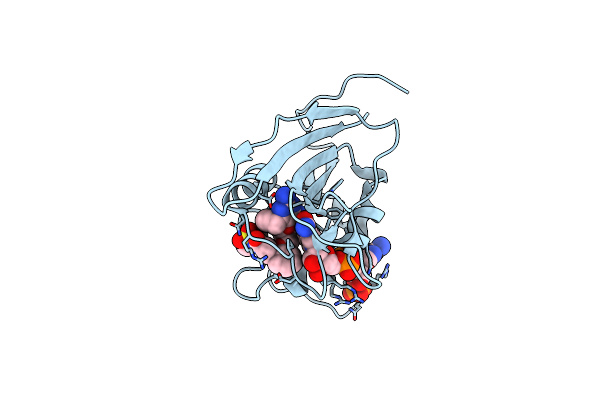 5SCT image