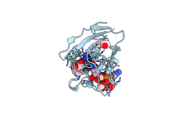 5SD1 image