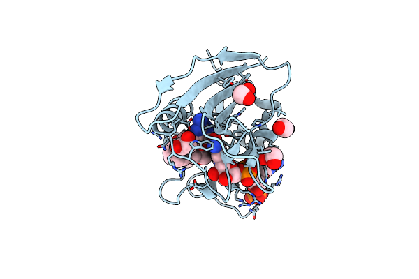 5SD3 image