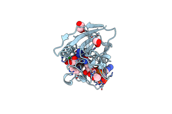5SD4 image