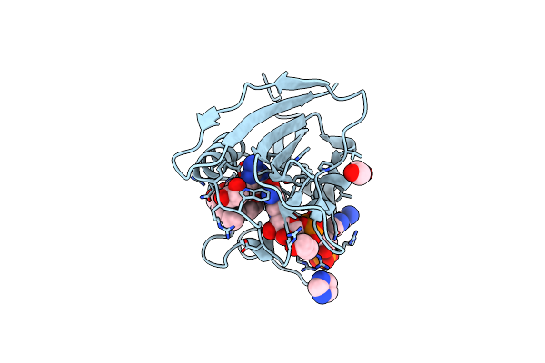 5SD5 image