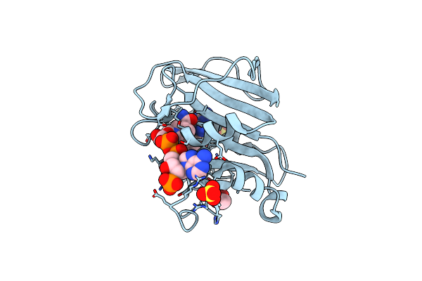 5SD6 image