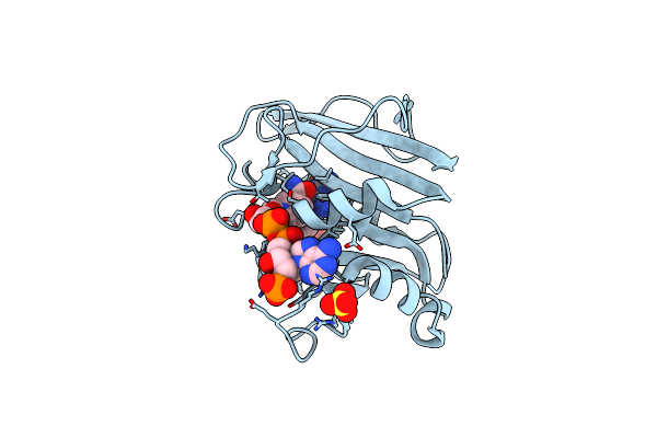 5SD8 image
